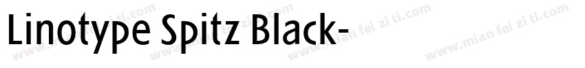 Linotype Spitz Black字体转换
